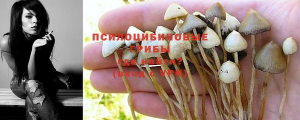 спайс Болохово