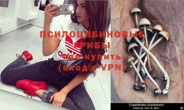 гашик Аркадак