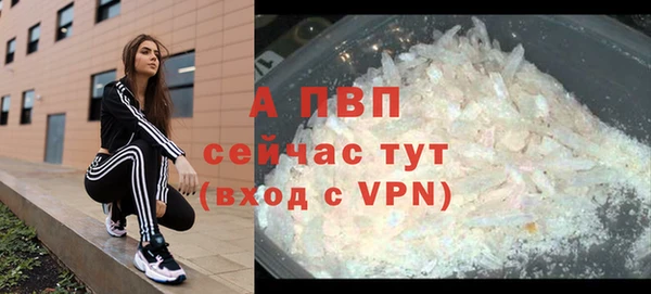 гашик Аркадак