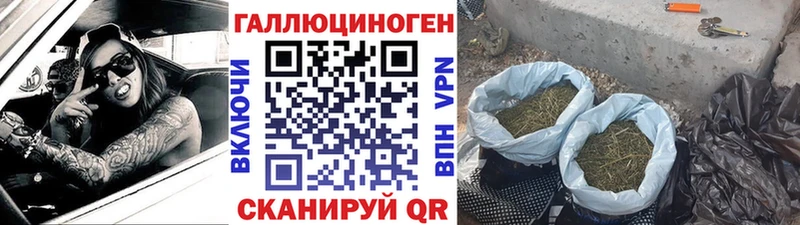 что такое наркотик  Курганинск  MEGA зеркало  Галлюциногенные грибы Cubensis 