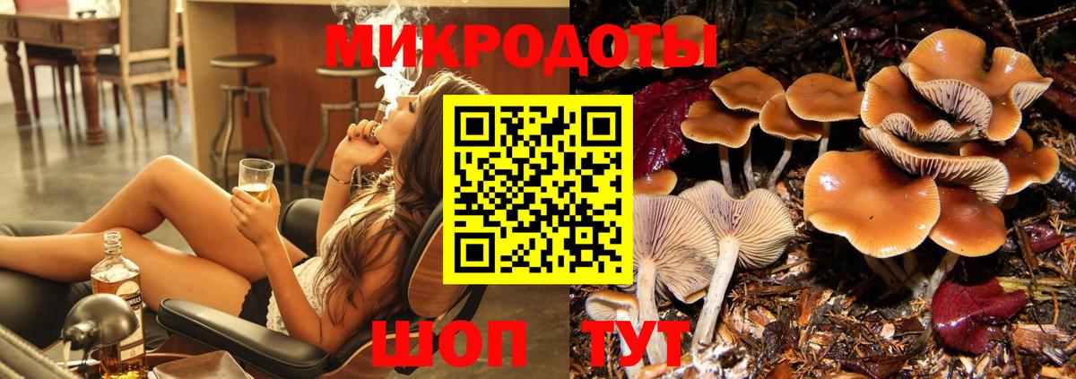 Галлюциногенные грибы Cubensis  Вход с VPN  Курганинск 