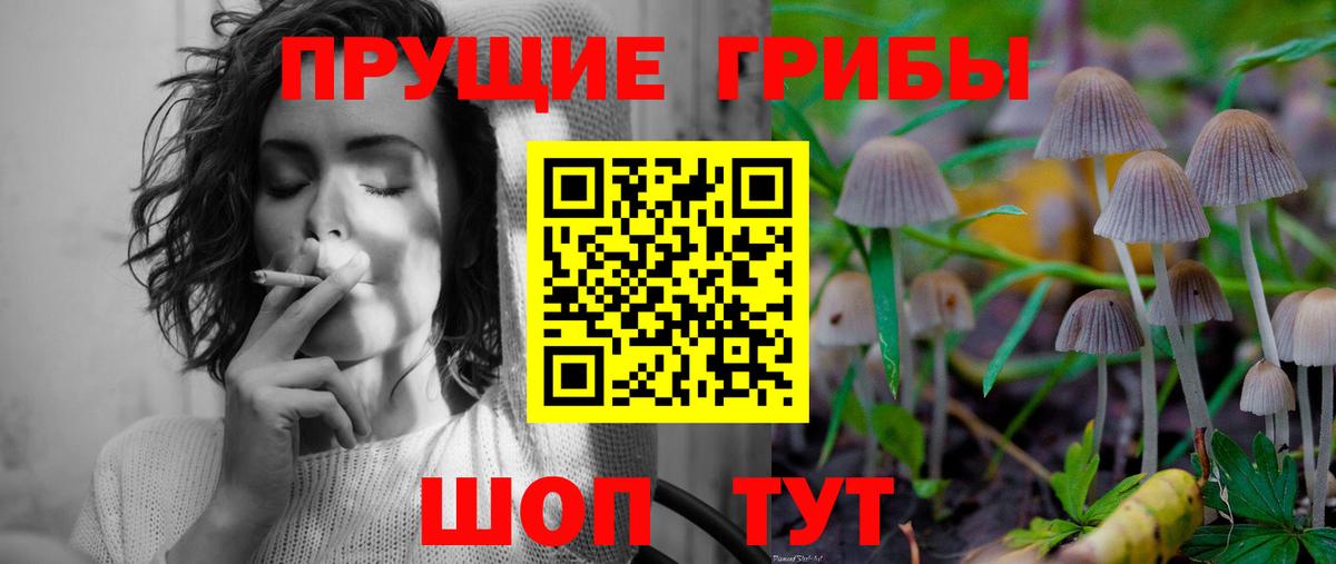 Псилоцибиновые грибы ЛСД Курганинск